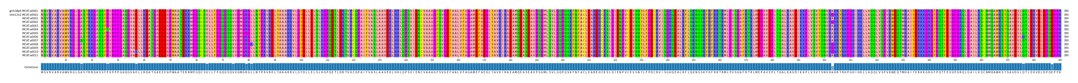Multiple Alignments (by translate haplotype frequency)