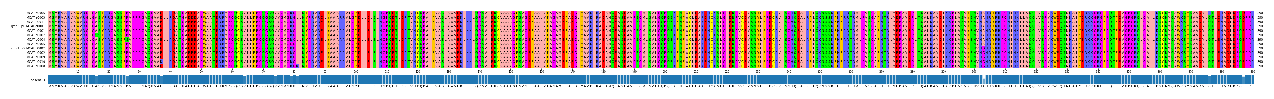 Multiple Alignments (by translate haplotype similarity)
