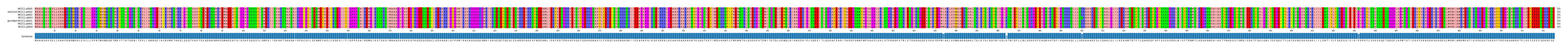 Multiple Alignments (by translate haplotype similarity)