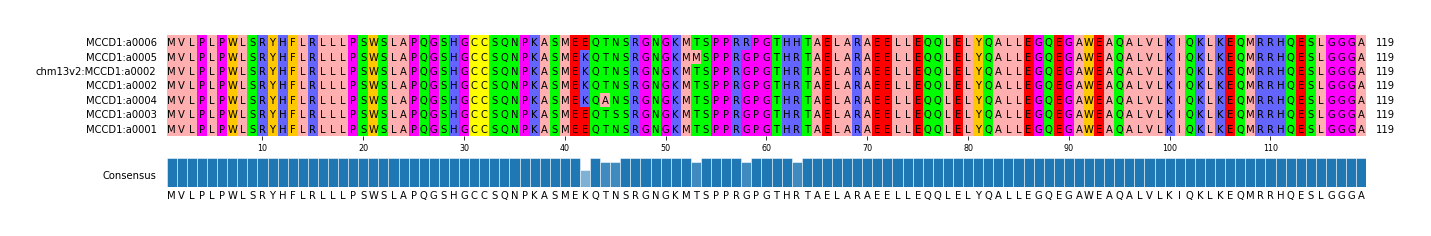 Multiple Alignments (by translate haplotype similarity)