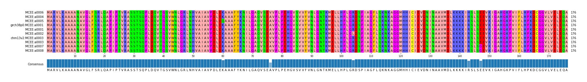 Multiple Alignments (by translate haplotype similarity)