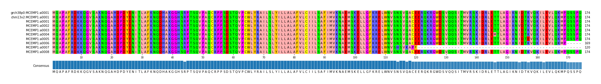 Multiple Alignments (by translate haplotype frequency)