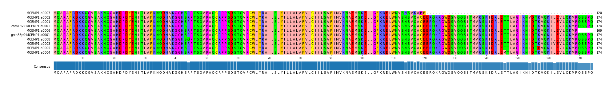 Multiple Alignments (by translate haplotype similarity)