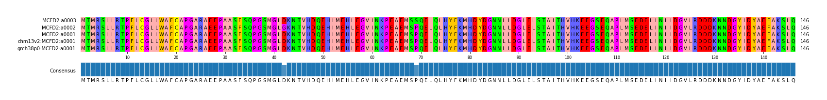 Multiple Alignments (by translate haplotype similarity)