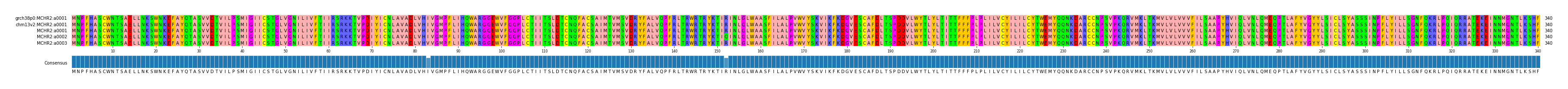 Multiple Alignments (by translate haplotype frequency)