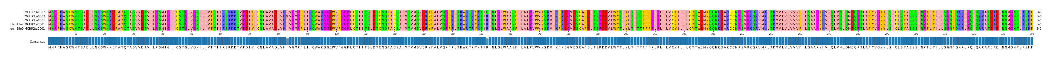 Multiple Alignments (by translate haplotype similarity)
