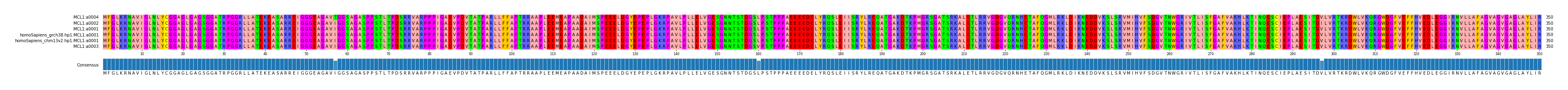 Multiple Alignments (by translate haplotype similarity)
