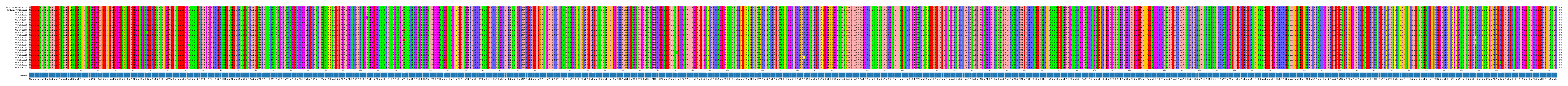 Multiple Alignments (by translate haplotype frequency)