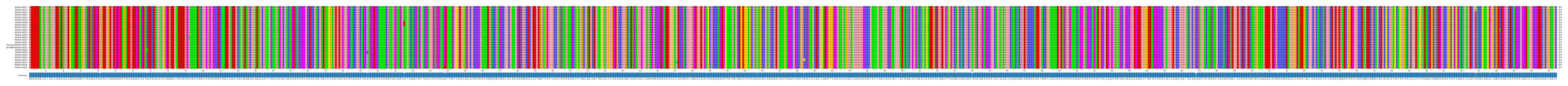 Multiple Alignments (by translate haplotype similarity)