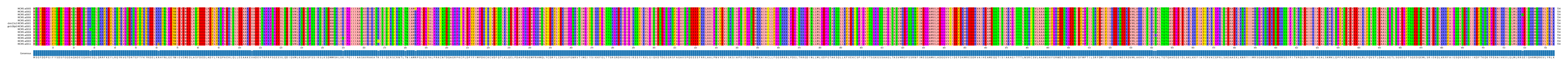 Multiple Alignments (by translate haplotype similarity)