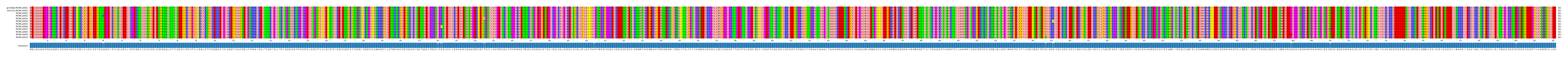 Multiple Alignments (by translate haplotype frequency)