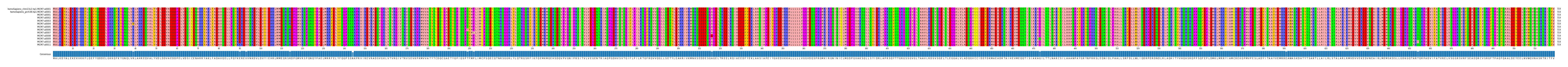 Multiple Alignments (by translate haplotype frequency)