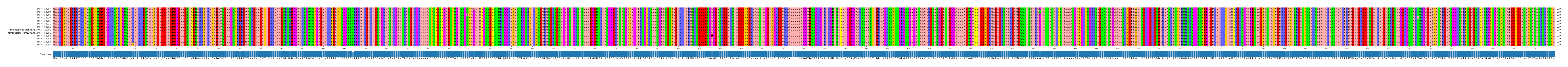 Multiple Alignments (by translate haplotype similarity)