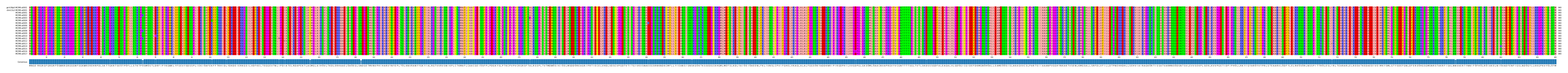 Multiple Alignments (by translate haplotype frequency)