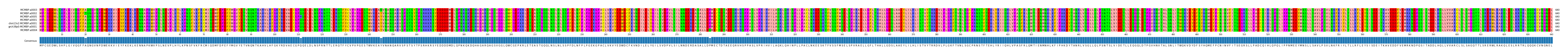 Multiple Alignments (by translate haplotype similarity)