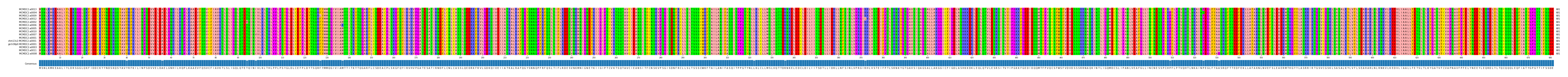 Multiple Alignments (by translate haplotype similarity)