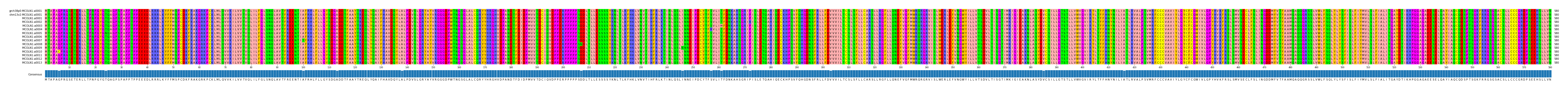 Multiple Alignments (by translate haplotype frequency)