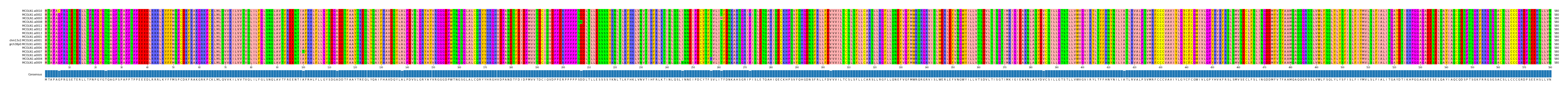 Multiple Alignments (by translate haplotype similarity)