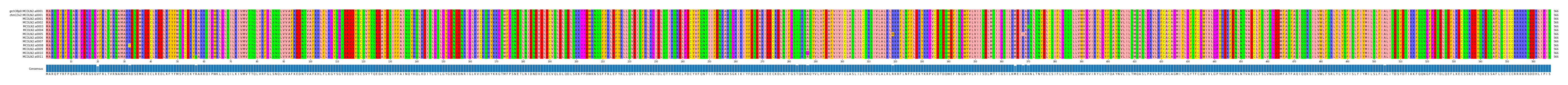 Multiple Alignments (by translate haplotype frequency)