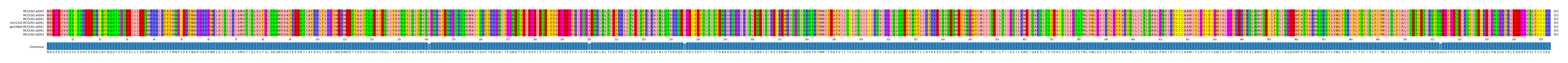 Multiple Alignments (by translate haplotype similarity)