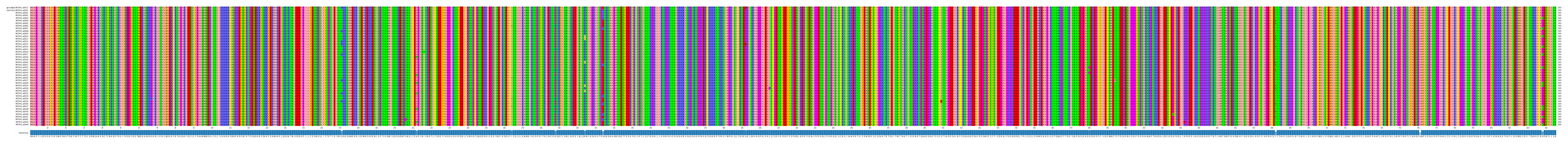 Multiple Alignments (by translate haplotype frequency)