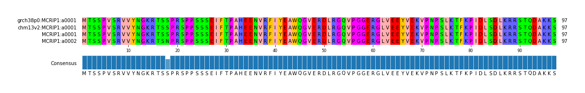 Multiple Alignments (by translate haplotype similarity)