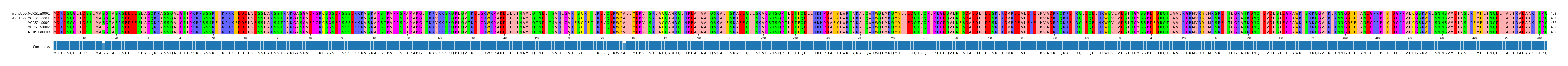 Multiple Alignments (by translate haplotype frequency)