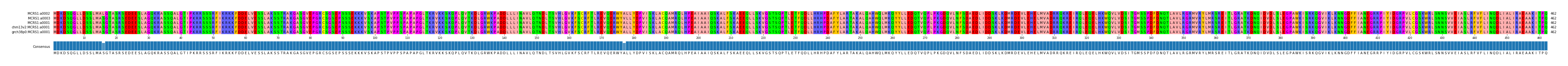 Multiple Alignments (by translate haplotype similarity)