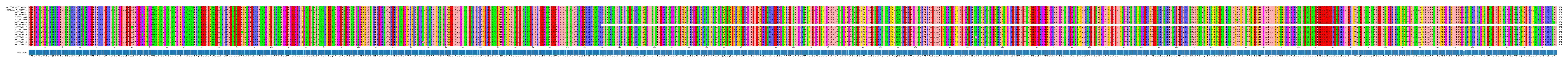 Multiple Alignments (by translate haplotype frequency)