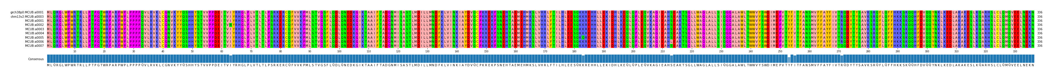 Multiple Alignments (by translate haplotype frequency)