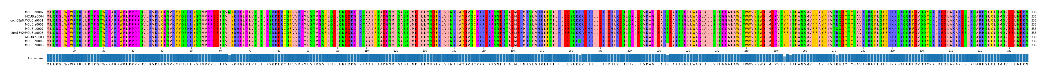 Multiple Alignments (by translate haplotype similarity)