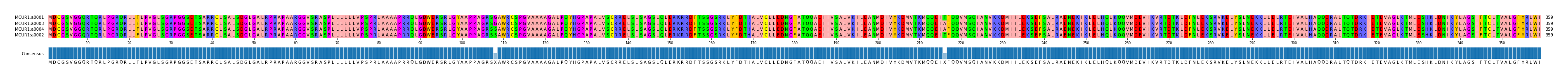 Multiple Alignments (by translate haplotype similarity)