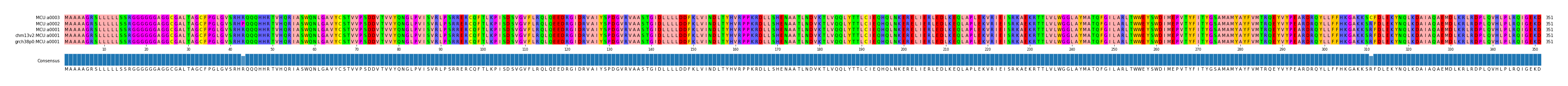 Multiple Alignments (by translate haplotype similarity)