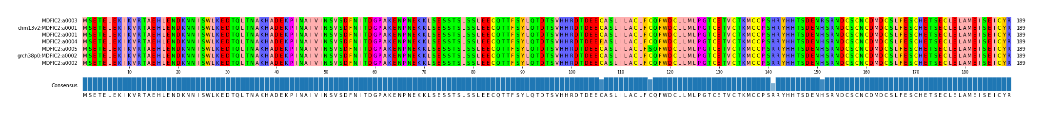 Multiple Alignments (by translate haplotype similarity)
