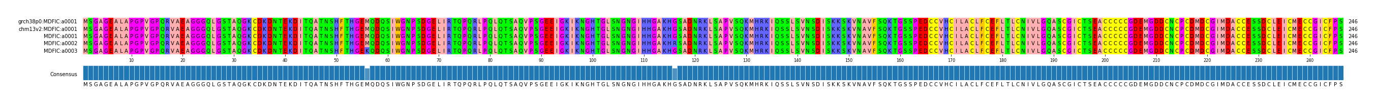 Multiple Alignments (by translate haplotype frequency)