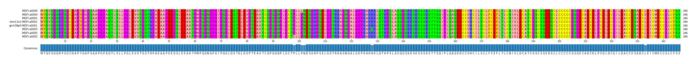 Multiple Alignments (by translate haplotype similarity)