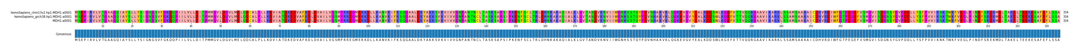Multiple Alignments (by translate haplotype similarity)