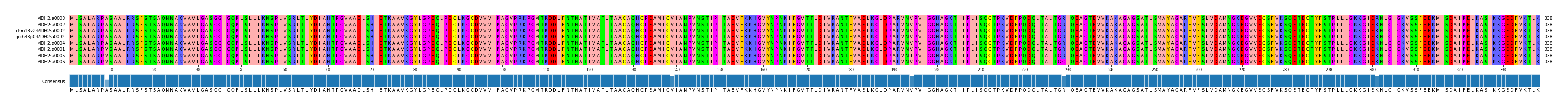 Multiple Alignments (by translate haplotype similarity)