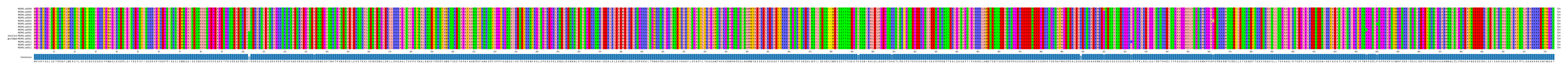 Multiple Alignments (by translate haplotype similarity)