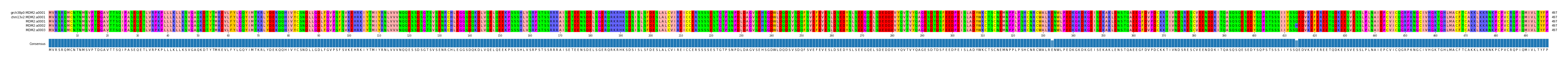 Multiple Alignments (by translate haplotype frequency)