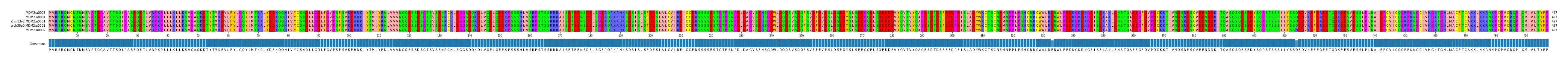 Multiple Alignments (by translate haplotype similarity)