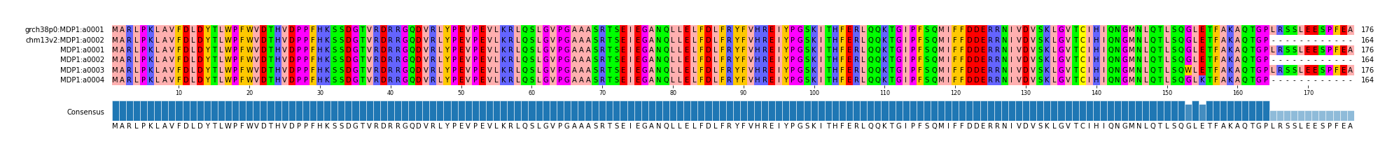 Multiple Alignments (by translate haplotype frequency)