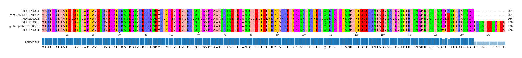 Multiple Alignments (by translate haplotype similarity)