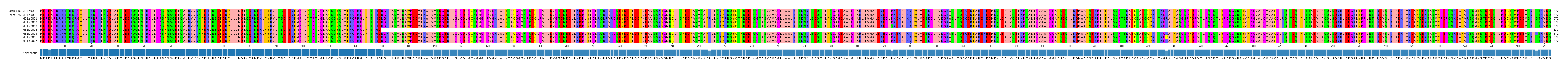 Multiple Alignments (by translate haplotype frequency)