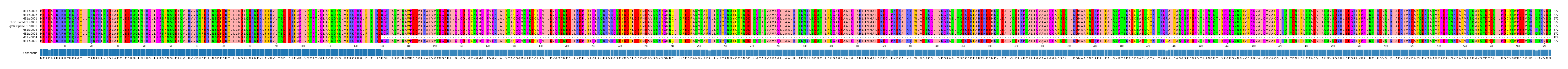 Multiple Alignments (by translate haplotype similarity)