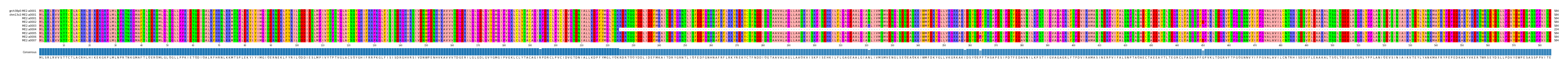 Multiple Alignments (by translate haplotype frequency)