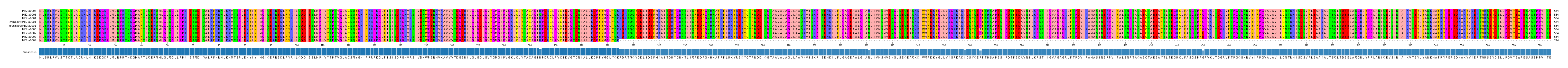 Multiple Alignments (by translate haplotype similarity)