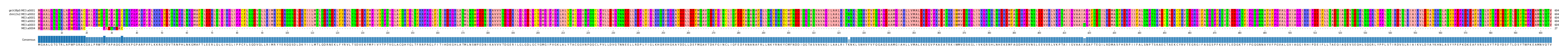 Multiple Alignments (by translate haplotype frequency)