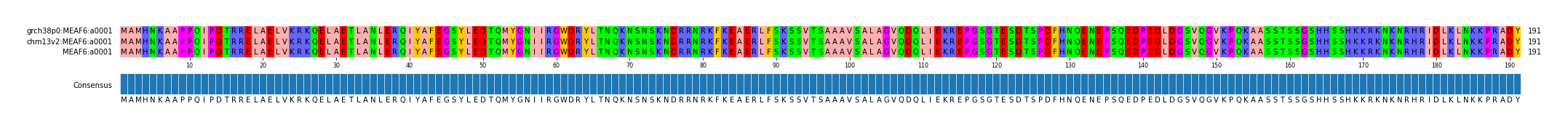 Multiple Alignments (by translate haplotype similarity)