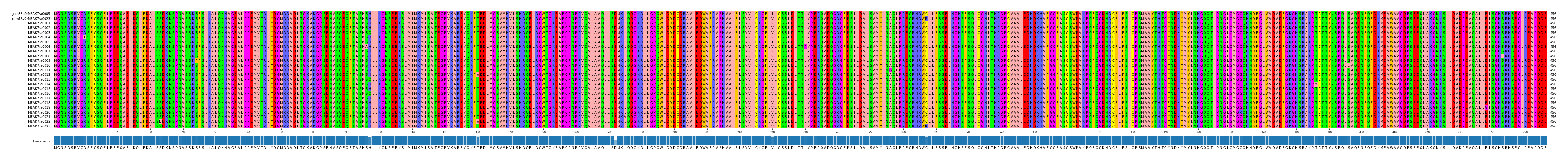 Multiple Alignments (by translate haplotype frequency)